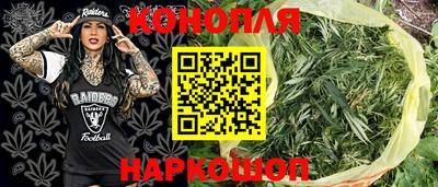 молекула духа Ноябрьск