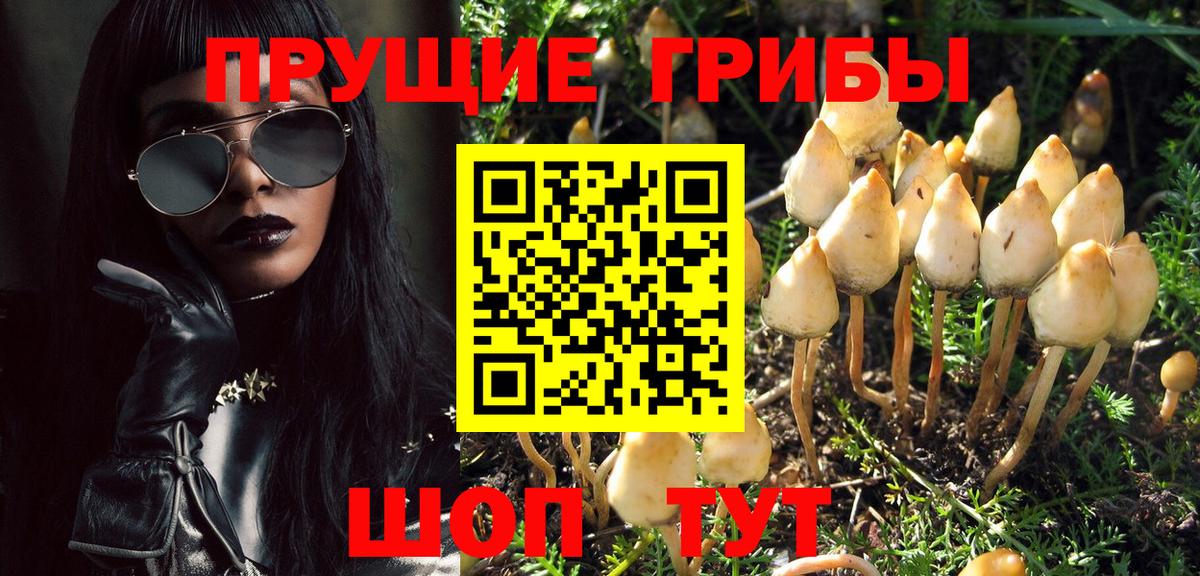 Галлюциногенные грибы ЛСД  Вход с VPN  Моздок 