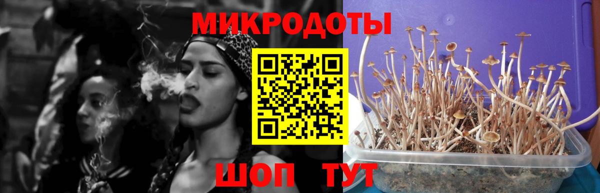 Псилоцибиновые грибы мухоморы Моздок